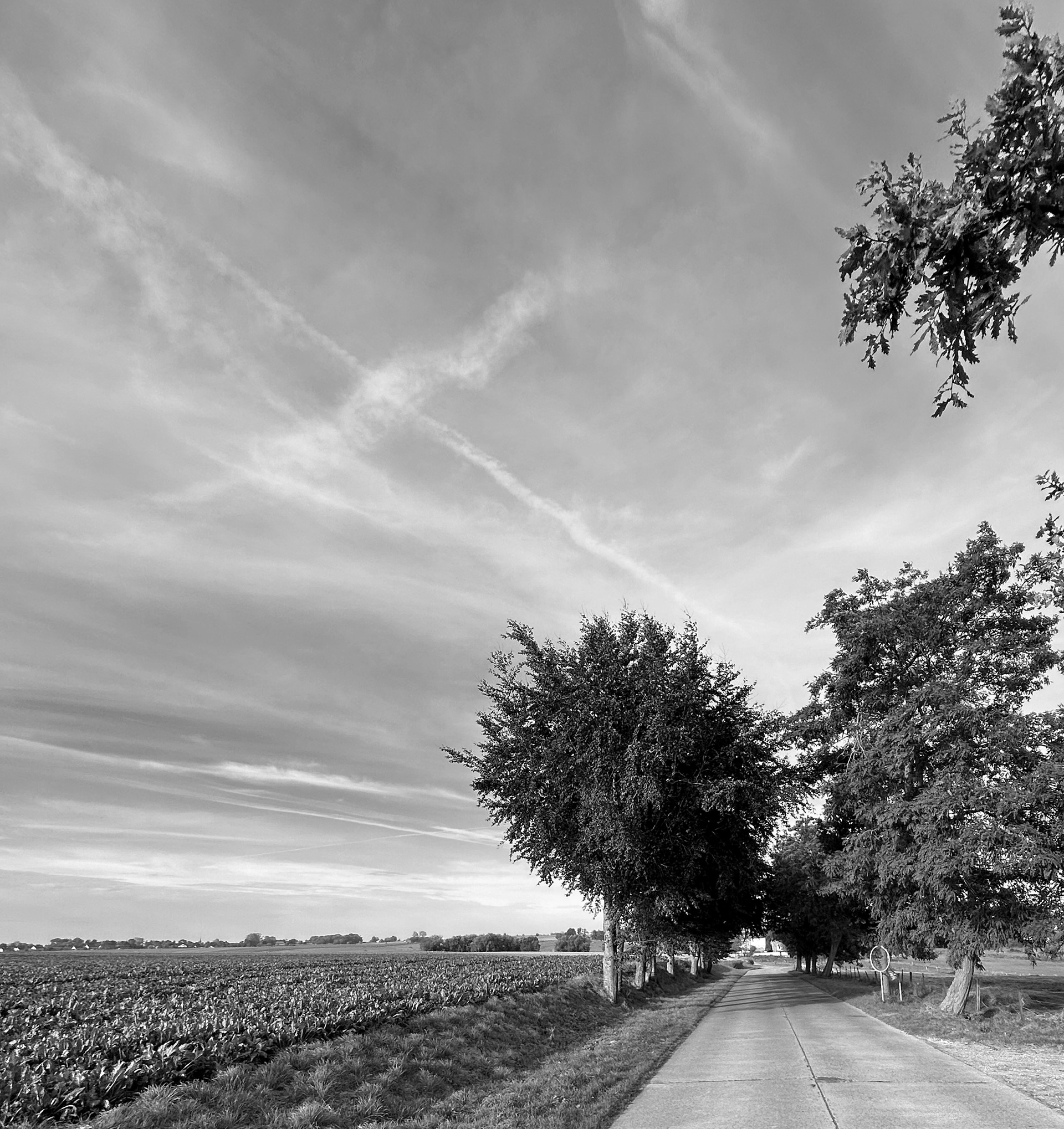 Photo d'un chemin de campagne