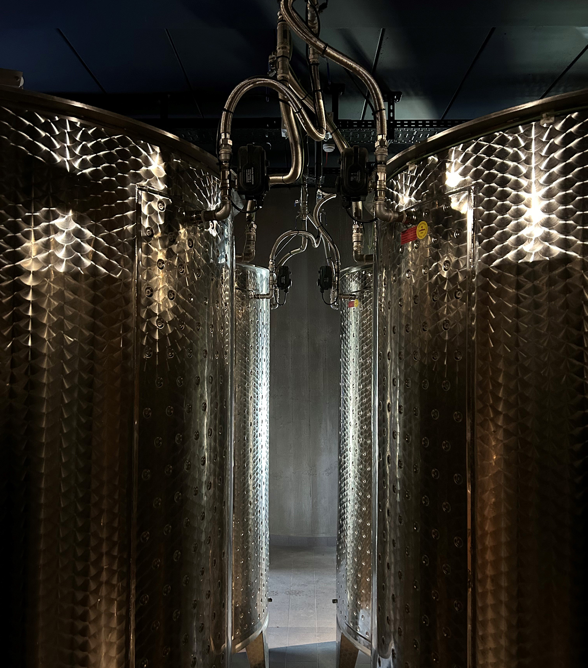 Photo des cuves à vin du domaine de biamont